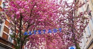 Altstadt Flohmarkt Samstag, 11. April 2026
